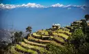 Terrassenfelder mit schneebedeckten Himalaya-Bergen im Hintergrund in Nepal.