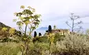 Die Liparischen Inseln sportlich erwandern