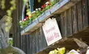 Vom Tegernsee zum Schliersee - individuelle Trekkingtour