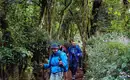Kilimanjaro: Marangu-Route – Bild 13