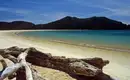 Entdeckungsreise durch Neuseelands Naturwunder Sandstrand im Abel Tasman Nationalpark mit Bergen im Hintergrund