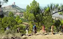 Die Highlights Gran Canarias erwandern