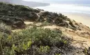 Küstenlandschaft an der Algarve entdecken Blick auf die wilde Küste der Algarve mit Vegetation und Sandstränden.