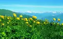 Individuelle Wanderwoche Gardasee