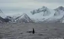 Schneeschuhwandern auf der Insel Senja - Norwegens Traumziel