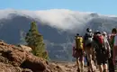 Die Highlights Gran Canarias erwandern – Bild 4