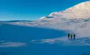 Schneeschuhwandern in Schwedisch Lappland - Die Berge & Wälder des Vindelfjällen