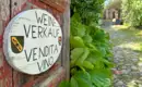 Weinverkauf entlang Ihrer Wanderroute Schild mit Aufschrift 'Weinverkauf Vendita Vino' an einer Holzwand in alpiner Umgebung.