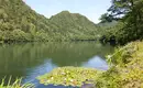 Vom Gardasee nach Venedig