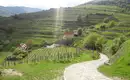 5-tägige individuelle Wanderungen Welterbesteig Wachau