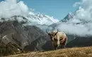 Nepal - Everest Base Camp
