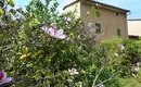 Individuelle Finca-Wanderung Mallorca - mit Charme