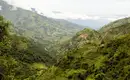 Blick auf helle, grüne Berghänge in Nepal Helle, grüne Berghänge mit Reisterrassen im Himalaya, Nepal.