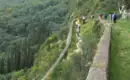 Auf unserer Wanderung durch Korfus Natur Eine Gruppe von Wanderern auf einem schmalen Pfad in Korfus grüner Landschaft.