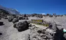 Kilimanjaro individuell - Lemosho Route