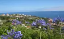 Madeira gemütlich erwandern