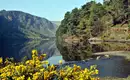 Irland - die Wicklows gemütlich erwandern