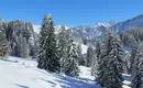 Wochenend-Schneeschuhtouren Allgäu