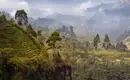 Magisches Sri Lanka - Eine Reise durch Geschichte, Natur und Kultur