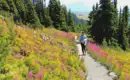 Kanada - Die Rocky Mountains auf verborgenen Wegen entdecken – Bild 2