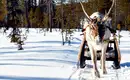 Magische Winteridylle in Schweden: Authentische Naturerlebnisse im Wildnisgehöft Solberget