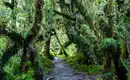 Chiles Highlights erwandern