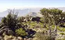 Oman - Anspruchsvolles Trekking im Sultanat – Bild 11