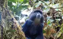 Kilimanjaro: Marangu-Route – Bild 10