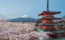 Japan: Kirschblüte oder Herbstlaub zaubern Farbenwunder
