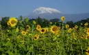 Kilimanjaro individuell - Machame Route