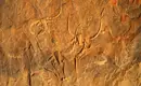 Uralte Felszeichnungen in der Bergen Felsgravuren in der Sahara zeigen frühere Lebensformen.