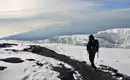 Kilimanjaro individuell - Lemosho Route