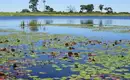 Botswana - Das grüne Herz der Kalahari mit Egmont Strigl