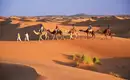 Magische Highlights Marokkos: Erkundung der Königsstädte und Sahara-Dünen – Bild 1