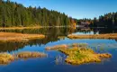 Die Highlights im Nationalpark Bayerischer Wald erwandern