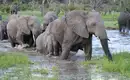 Botswana & Simbabwe - Vom Okavango-Delta zu den majestätischen Victoriafällen