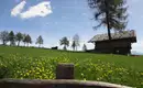 Individuelle Wanderung entlang des Wein- und Almenwegs in Südtirol