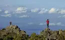 Kilimanjaro: Lemosho-Route (Northern Circuit)