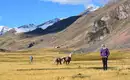 Peru Trekking um den Apu Asangate (5.100 HM)