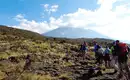In Kleingruppen auf den Kilimanjaro: Lemosho-Route (Northern Circuit) – Bild 15