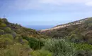 Individuelle Wanderwoche Teneriffa