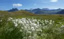 Rund um den Mont Blanc - das Herz der Alpen