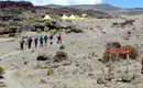 Kilimanjaro Lemosho-Route (Northern Circuit) - individuell