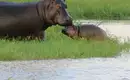Botswana & Simbabwe - Vom Okavango-Delta zu den majestätischen Victoriafällen