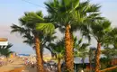 Israel für Einsteiger - Eine Reise durch Geschichte, Natur und Kultur