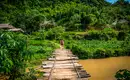 Auf unserer Wanderroute durch dichte Wälder Person wandert über eine Holzbrücke in üppiger vietnamesischer Landschaft.