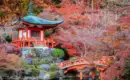 Japan: Kirschblüte oder Herbstlaub zaubern Farbenwunder