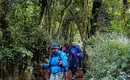 Kilimanjaro: Marangu-Route