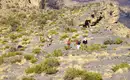 Oman - Anspruchsvolles Trekking im Sultanat – Bild 22