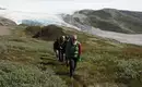 Wanderer erkunden Grönlands Eislandschaft Gruppe von Wanderern im Gras mit Blick auf einen Gletscher in Grönland.